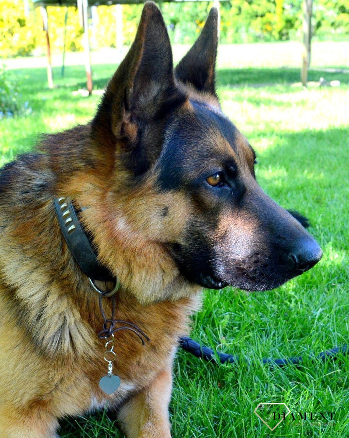 Blaszka dla pupila serce 2,8 cm z miejscem na grawer Serce silver M. Blaszka w formie adresówki, identyfikatora dla psa. Blaszka z miejscem na grawer. Na adresówce możemy wygrawerować np. imię psa i nr telefonu do właściciela.jpg